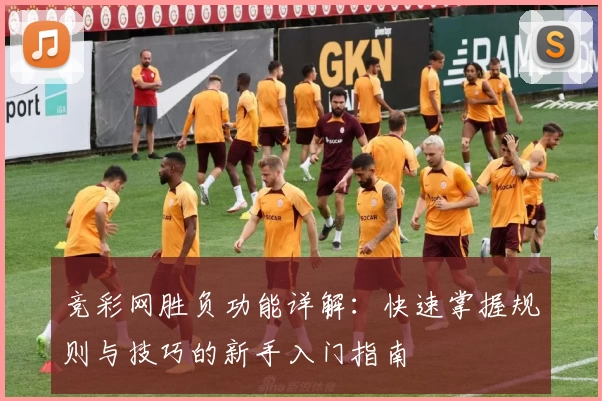 竞彩网胜负功能详解：快速掌握规则与技巧的新手入门指南